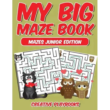My Big Maze Book Mazes Junior Edition