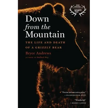 Down from the Mountain: The Life and Death of a Grizzly Bear
