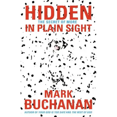 Hidden in Plain Sight: The Secret of More
