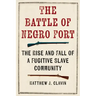 The Battle of Negro Fort: The Rise And Fall Of A Fugitive Slave Community