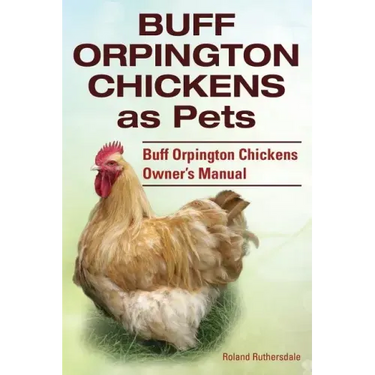 Buff Orpington Chickens as Pets. Buff Orpington Chickens Owner's Manual.