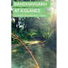 Bandhavgarh At a Glance