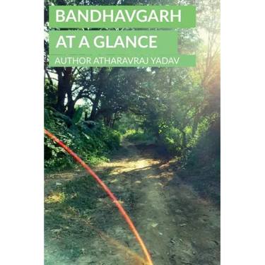 Bandhavgarh At a Glance