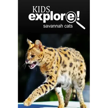 Savannah Cats - Kids Explore: Animal books nonfiction - books ages 5-6