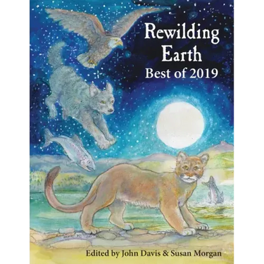 Rewilding Earth: Best of 2019