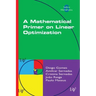 A Mathematical Primer on Linear Optimization
