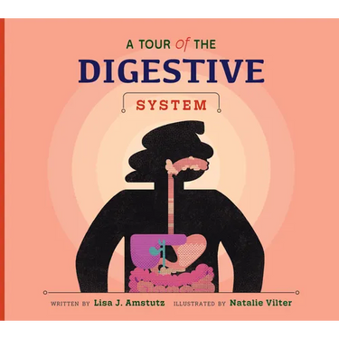 A Tour of the Digestive System