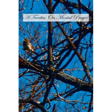 A Treatise On Mental Prayer