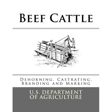 Beef Cattle: Dehorning, Castrating, Branding and Marking