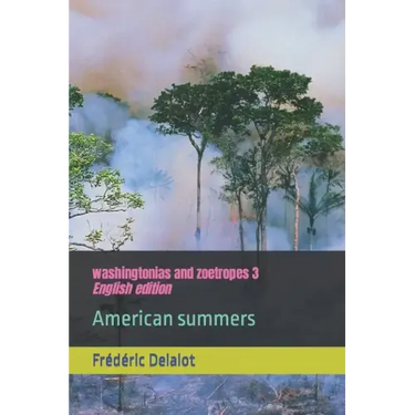 washingtonias and zoetropes 3: English edition: American summers