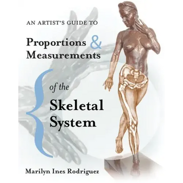 An Artist's Guide to Proportions & Measurements of the Skeletal System