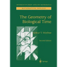 The Geometry of Biological Time
