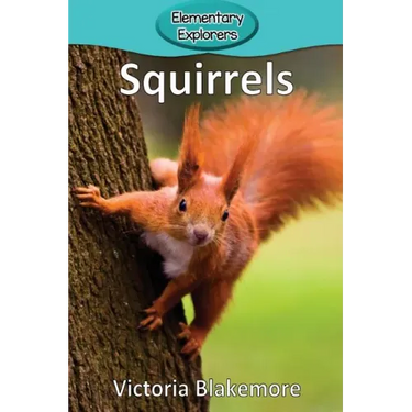 Squirrels