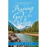 Praising God in the Valley: Lessons and Other Blessings in the Journey Through Cancer