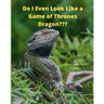 Do I Even Look Like a Game of Thrones Dragon: Paper and Pencil Games