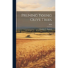 Pruning Young Olive Trees; B348