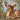 Little Deer: Educational Children's Picture Book About Deer Filled With Real Photos, Art, & Deer Facts
