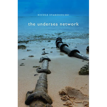 The Undersea Network