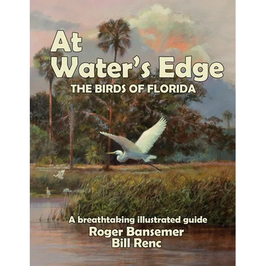 At Water's Edge: The Birds of Florida