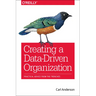 Creating a Data-Driven Organization: Practical Advice from the Trenches