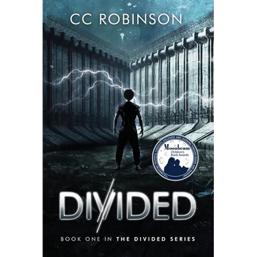 Divided: A Dystopian Adventure