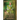 The Highlander & the Queen's Sacrifice