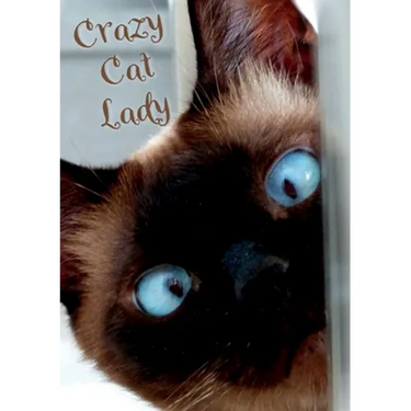 Crazy Cat Lady Notebook