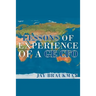 Lessons of Experience of a GE CFO
