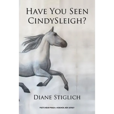 Have You Seen CindySleigh?