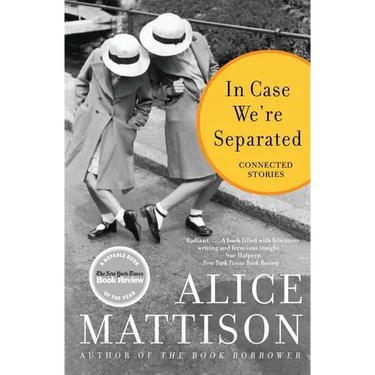 In Case We're Separated: Connected Stories
