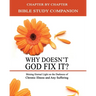 Why Doesn't God Fix It? - Bible Study Companion Booklet: Chapter by Chapter Companion Study for Why Doesn't God Fix It? - Shining Eternal Light on the