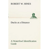 Ducks at a Distance A Waterfowl Identification Guide