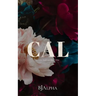 CAL Discreet Cover: Secrets and Lies Discreet Book 1