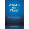 What's the Plan?: Your Pain, God's Purpose