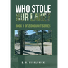 Who Stole Our Lake?: Book 1 of 2 Drought Series