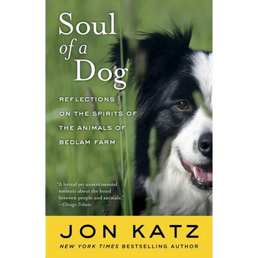 Soul of a Dog: Reflections on the Spirits of the Animals of Bedlam Farm