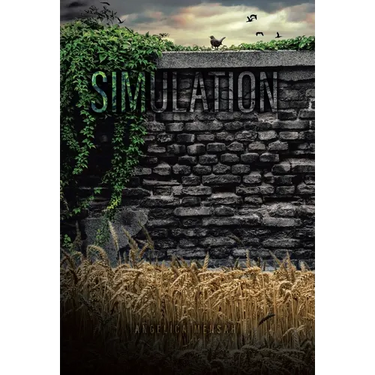 Simulation