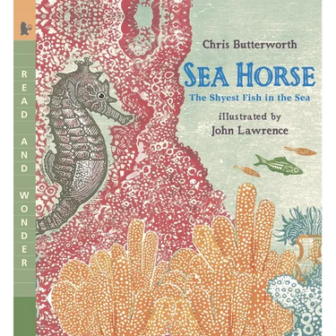 Sea Horse: The Shyest Fish in the Sea: Read and Wonder (an Ocean Animal and Marine Life Book for Grades K-3 and Kids Ages 5-8)