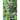 Old Tales Retold: Sprites and Goblins