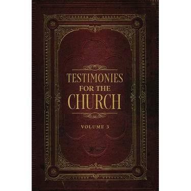 Testimonies for the Church Volume 3