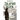 The Odyssey of Zalaman Aszer