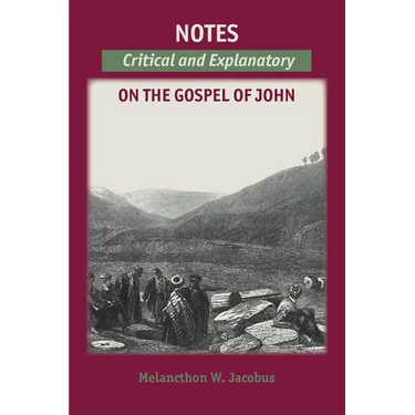 Notes on the Gospels: Critical and Explanatory on John