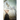 Something for Nothing Softcover