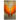 On Angel's Wings-Digest Version