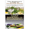 The Beginners Guide to Medicinal Plants & Soap Making for Beginners