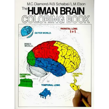 The Human Brain Coloring Book