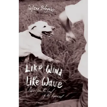 Like Wind, Like Wave