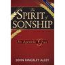 The Spirit of Sonship: An Apostolic Grace