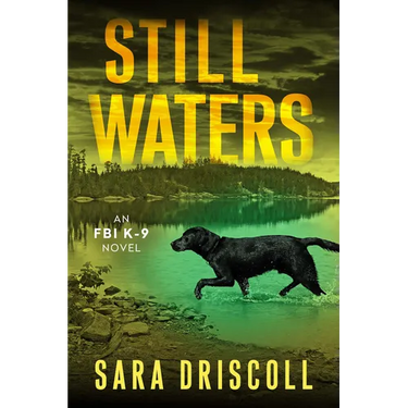 Still Waters: A Riveting Novel of Suspense