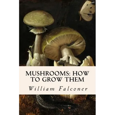 Mushrooms: how to grow them